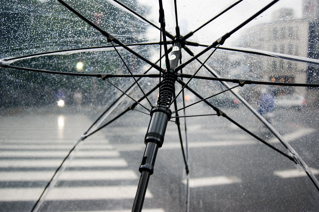 Ein Tipp für Regentage, nicht nur im April …